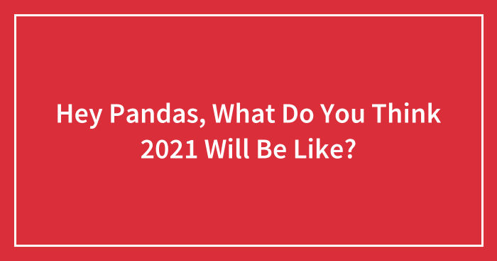 Hey Pandas, What Do You Think 2021 Will Be Like? (Closed)