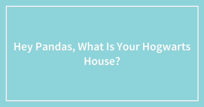 Hey Pandas, What Is Your Hogwarts House? (Closed)