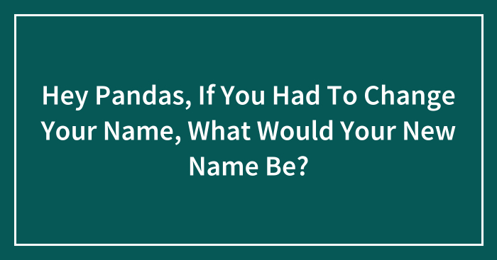 Hey Pandas, If You Had To Change Your Name, What Would Your New Name Be? (Closed)