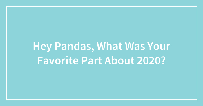Hey Pandas, What Was Your Favorite Part About 2020? (Closed)