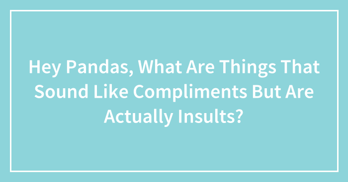 Hey Pandas, What Are Things That Sound Like Compliments But Are Actually Insults? (Closed)