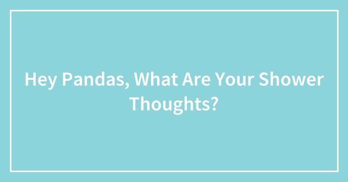 Hey Pandas, What Are Your Shower Thoughts? (Closed)