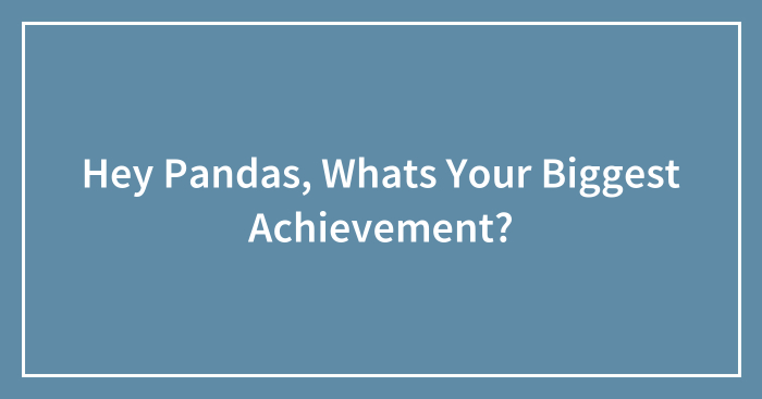 Hey Pandas, Whats Your Biggest Achievement?