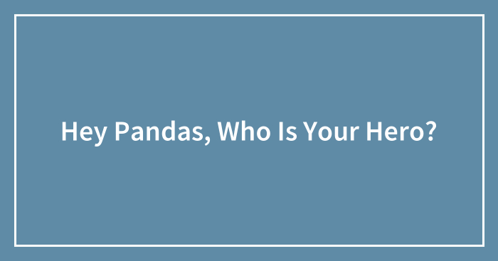 Hey Pandas, Who Is Your Hero? (Closed)