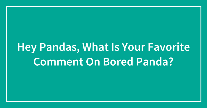 Hey Pandas, What Is Your Favorite Comment On Bored Panda? (Closed)