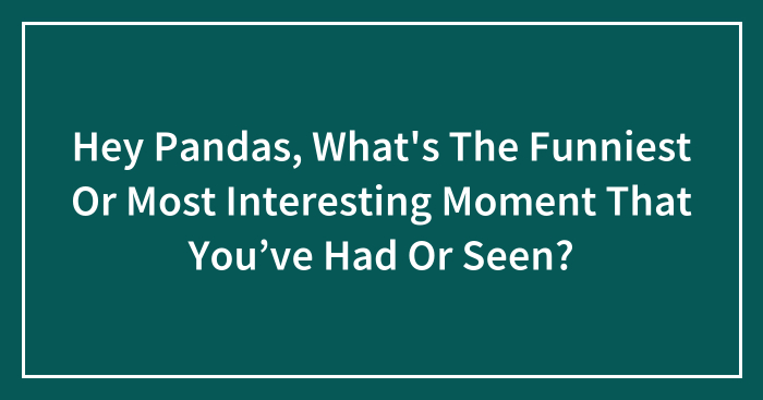 Hey Pandas, What’s The Funniest Or Most Interesting Moment That You’ve Had Or Seen? (Closed)