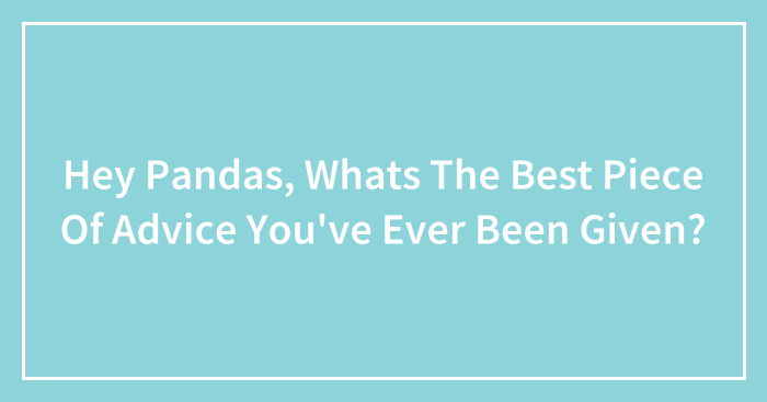 Hey Pandas, Whats The Best Piece Of Advice You’ve Ever Been Given? (Closed)