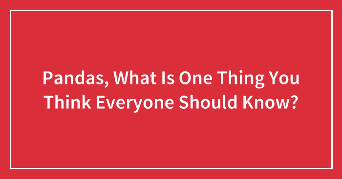 Pandas, What Is One Thing You Think Everyone Should Know?