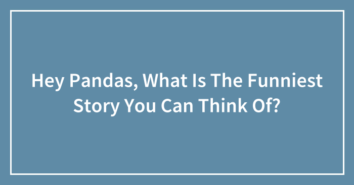 Hey Pandas, What Is The Funniest Story You Can Think Of? (Closed)