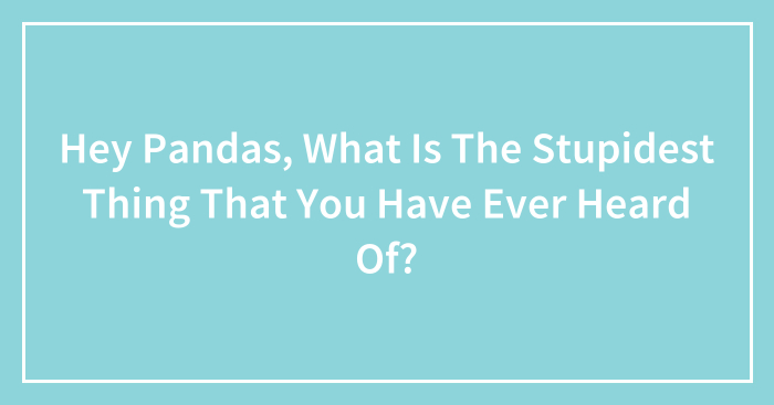 Hey Pandas, What Is The Stupidest Thing That You Have Ever Heard Of? (Closed)