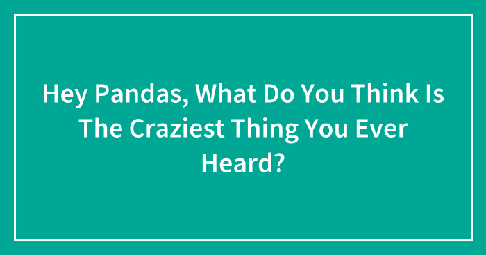 Hey Pandas, What Do You Think Is The Craziest Thing You Ever Heard? (Closed)