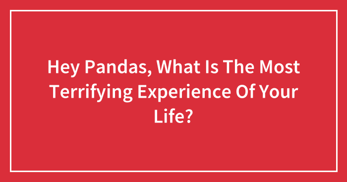 Hey Pandas, What Is The Most Terrifying Experience Of Your Life? (Closed)