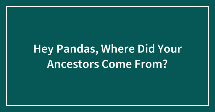 Hey Pandas, Where Did Your Ancestors Come From? (Closed)