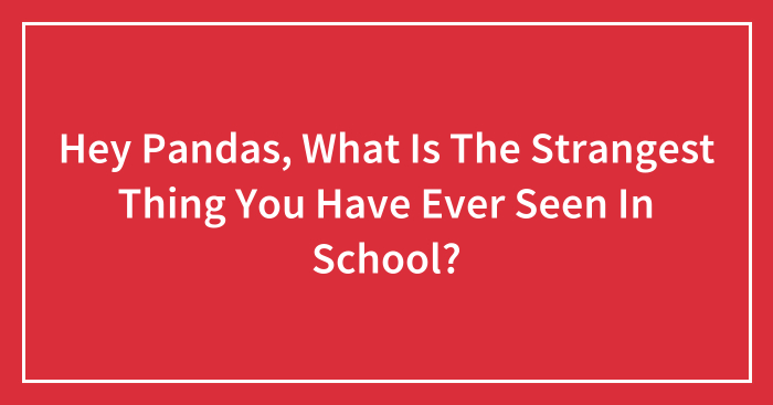 Hey Pandas, What Is The Strangest Thing You Have Ever Seen In School? (Closed)