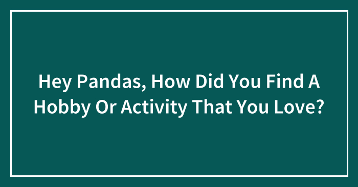 Hey Pandas, How Did You Find A Hobby Or Activity That You Love? (Closed)