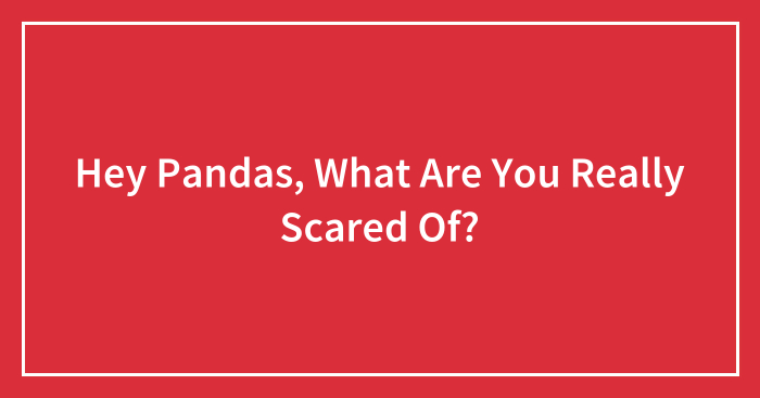 Hey Pandas, What Are You Really Scared Of? (Closed)