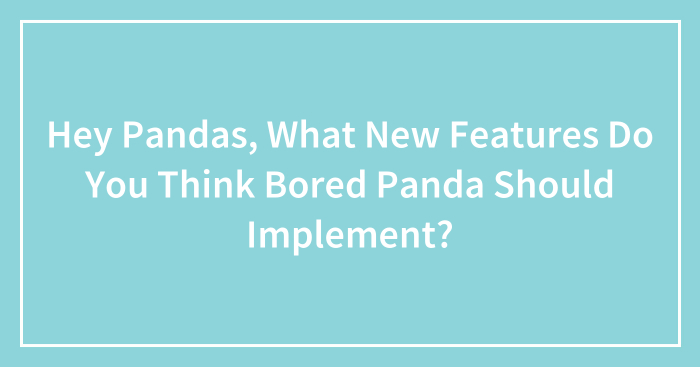 Hey Pandas, What New Features Do You Think Bored Panda Should Implement? (Closed)