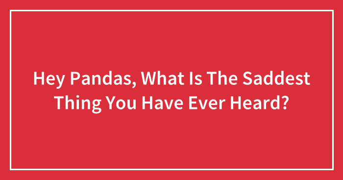 Hey Pandas, What Is The Saddest Thing You Have Ever Heard? (Closed)