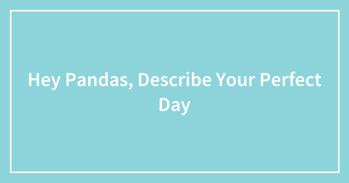 Hey Pandas, Describe Your Perfect Day (Closed)