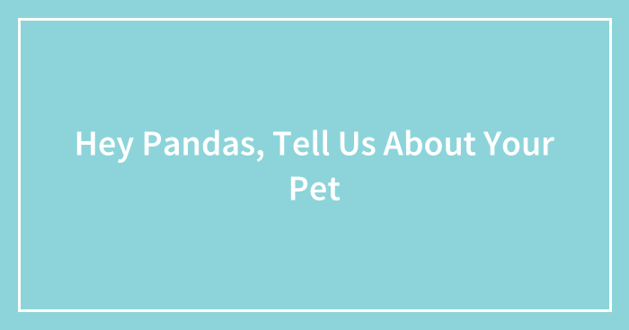 Hey Pandas, Tell Us About Your Pet (Closed)