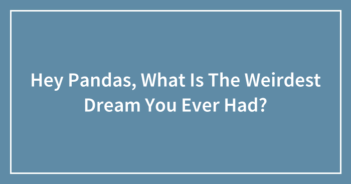 Hey Pandas, What Is The Weirdest Dream You Ever Had? (Closed)