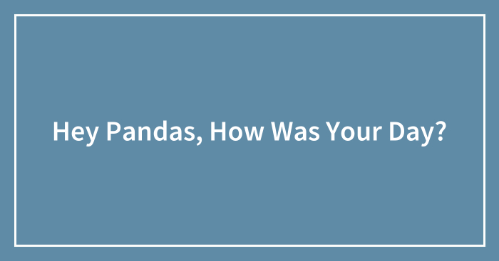 Hey Pandas, How Was Your Day? (Closed)