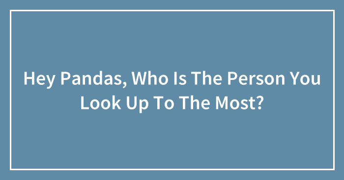 Hey Pandas, Who Is The Person You Look Up To The Most? (Closed)