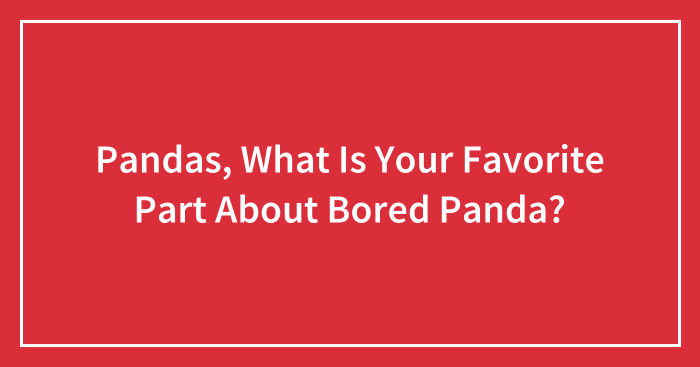 Pandas, What Is Your Favorite Part About Bored Panda? (Closed)
