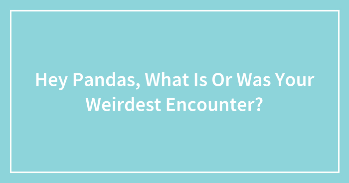 Hey Pandas, What Is Or Was Your Weirdest Encounter? (Closed)