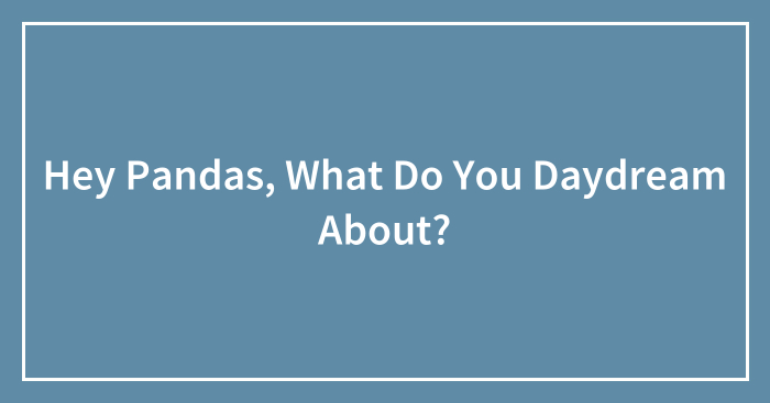 Hey Pandas, What Do You Daydream About? (Closed)