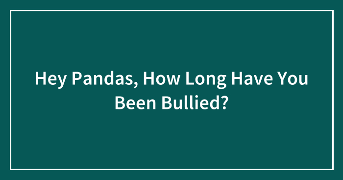 Hey Pandas, How Long Have You Been Bullied? (Closed)
