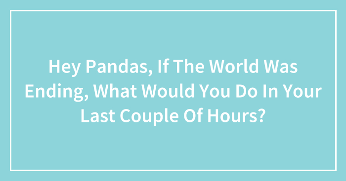 Hey Pandas, If The World Was Ending, What Would You Do In Your Last Couple Of Hours? (Closed)