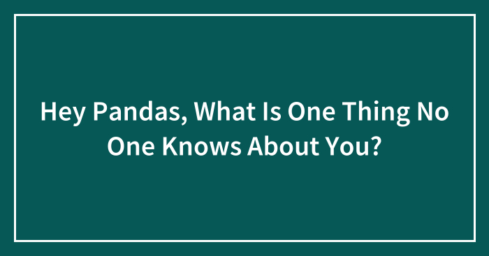 Hey Pandas, What Is One Thing No One Knows About You? (Closed)