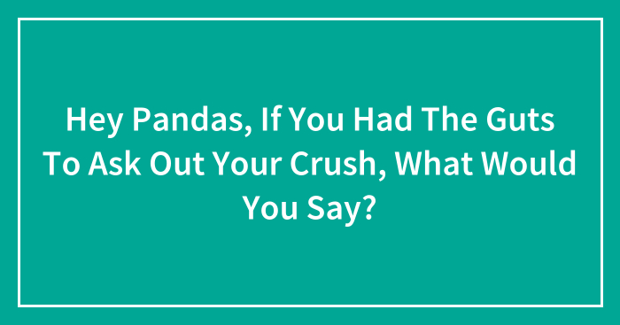 Hey Pandas, If You Had The Guts To Ask Out Your Crush, What Would You Say? (Closed)