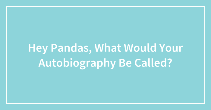 Hey Pandas, What Would Your Autobiography Be Called? (Closed)