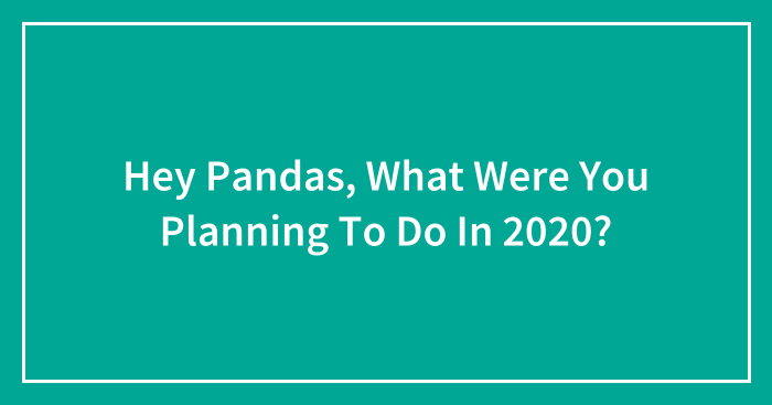 Hey Pandas, What Were You Planning To Do In 2020? (Closed)