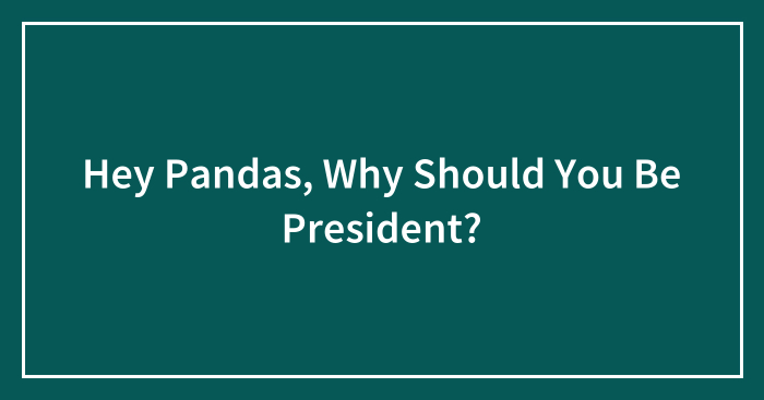 Hey Pandas, Why Should You Be President? (Closed)