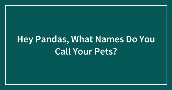 Hey Pandas, What Names Do You Call Your Pets? (Closed)