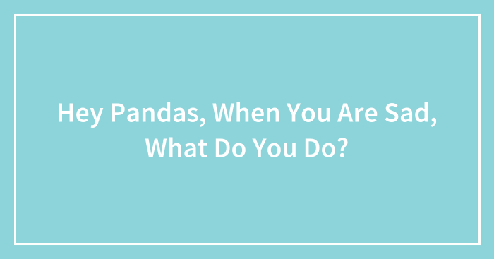 Hey Pandas, When You Are Sad, What Do You Do? (Closed)