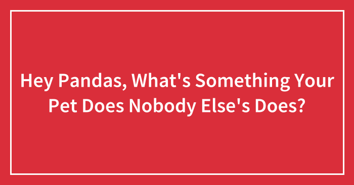 Hey Pandas, What’s Something Your Pet Does Nobody Else’s Does? (Closed)