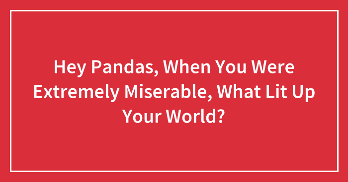 Hey Pandas, When You Were Extremely Miserable, What Lit Up Your World? (Closed)