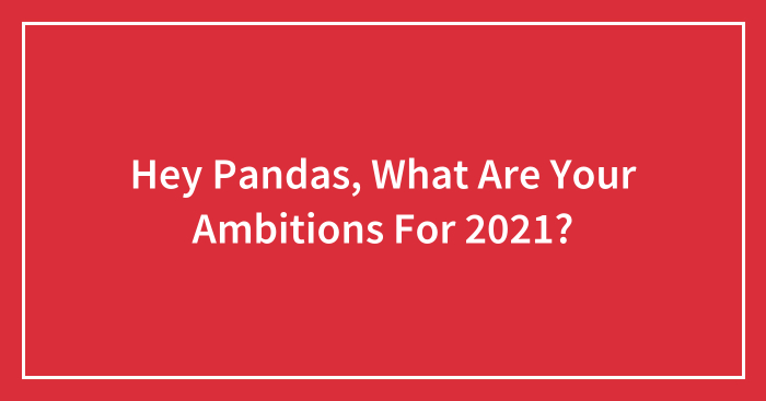 Hey Pandas, What Are Your Ambitions For 2021?
