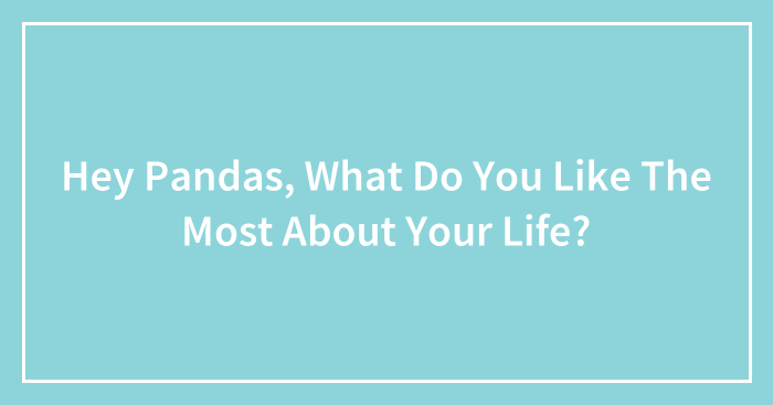 Hey Pandas, What Do You Like The Most About Your Life? (Closed)