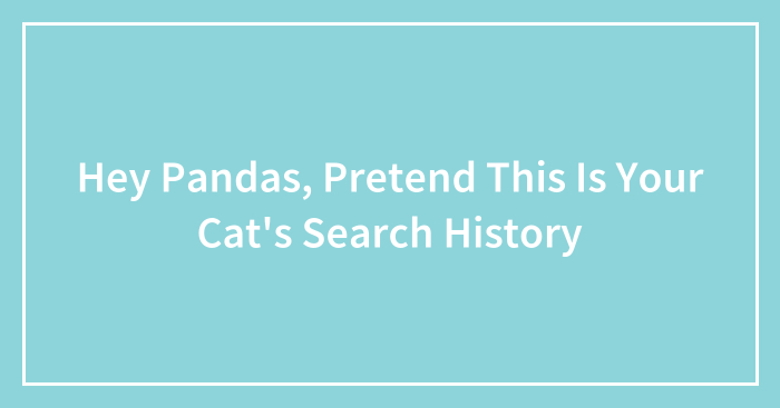 Hey Pandas, Pretend This Is Your Cat’s Search History (Closed)