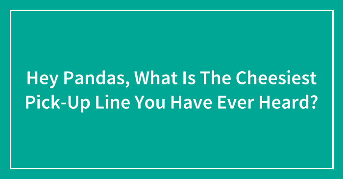 Hey Pandas, What Is The Cheesiest Pick-Up Line You Have Ever Heard? (Closed)