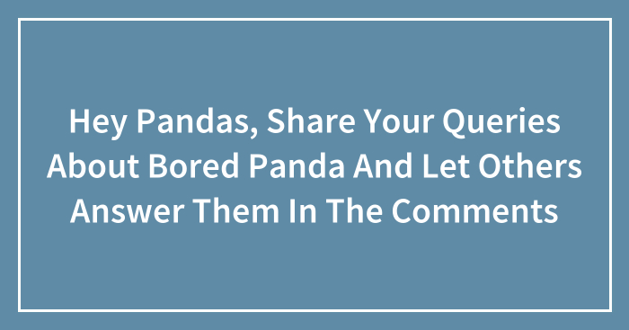 Hey Pandas, Share Your Queries About Bored Panda And Let Others Answer Them In The Comments (Closed)