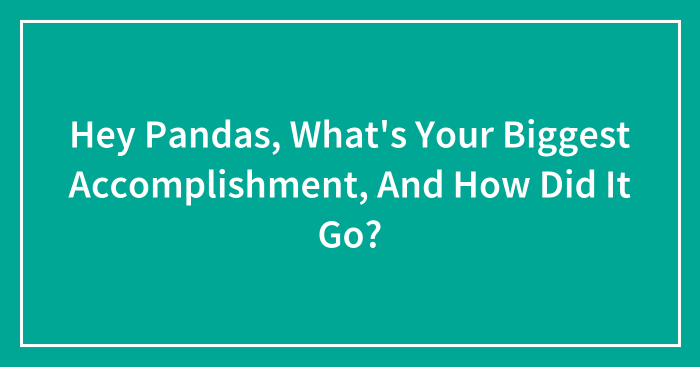Hey Pandas, What’s Your Biggest Accomplishment, And How Did It Go? (Closed)