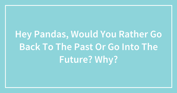 Hey Pandas, Would You Rather Go Back To The Past Or Go Into The Future? Why? (Closed)