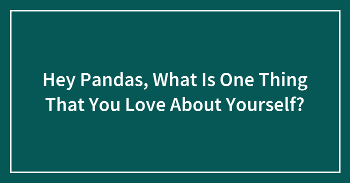 Hey Pandas, What Is One Thing That You Love About Yourself? (Closed)