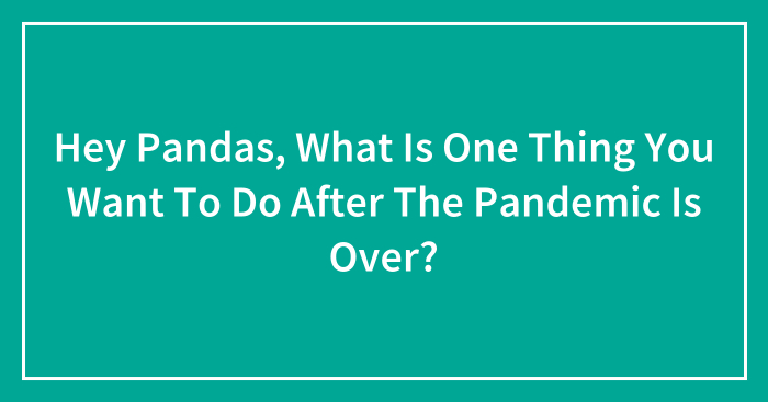 Hey Pandas, What Is One Thing You Want To Do After The Pandemic Is Over? (Closed)